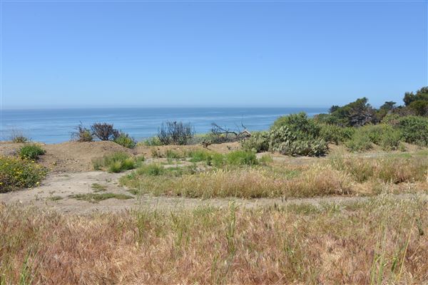 El Pescador State Beach @ Robert H. Meyer Memorial State Beach (SB) - CFC (4/17/2019 - Credits: Leo Fialho)