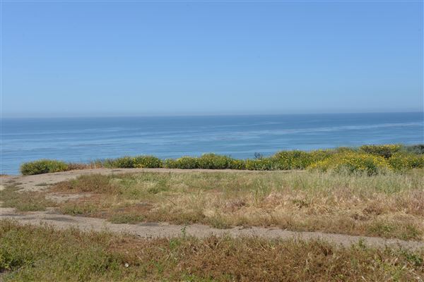El Pescador State Beach @ Robert H. Meyer Memorial State Beach (SB) - CFC (4/17/2019 - Credits: Leo Fialho)