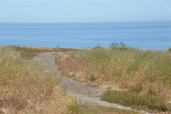 El Pescador State Beach @ Robert H. Meyer Memorial State Beach (SB) - CFC (4/17/2019 - Credits: Leo Fialho)