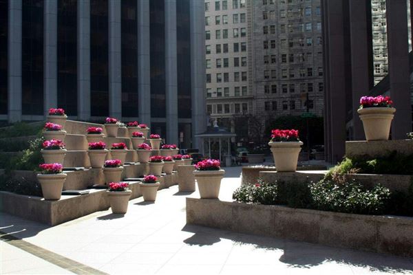 Financial District, San Francisco - California St. (10/29/2025 - Credits: San Francisco City & County Film Commission)