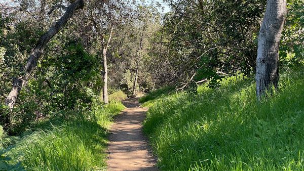 Descanso Gardens - Canyon View (3/7/2022 - Credits: Leo Fialho)