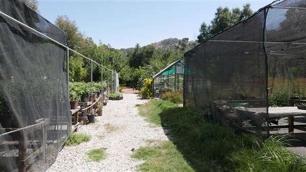 Descanso Gardens - Plant Propagation Greenhouse (7/26/2017 - Credits: Leo Fialho)