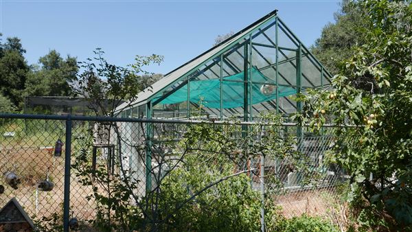 Descanso Gardens - Plant Propagation Greenhouse (7/26/2017 - Credits: Leo Fialho)