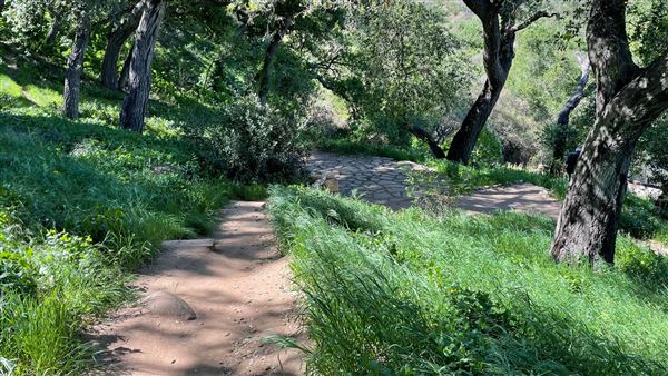 Descanso Gardens - Hopes Garden (3/7/2022 - Credits: Leo Fialho)
