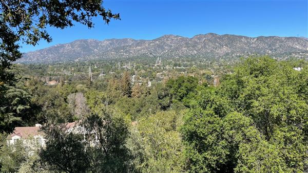 Descanso Gardens - Hopes Garden (3/7/2022 - Credits: Leo Fialho)