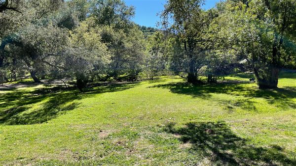 Descanso Gardens (3/7/2022 - Credits: Oak Grove)