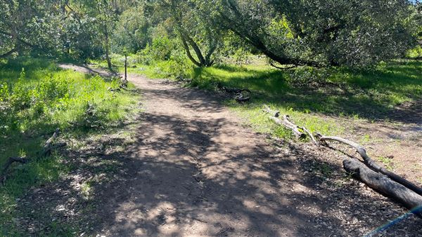 Descanso Gardens - Oak Woodland (3/7/2022 - Credits: Leo Fialho)