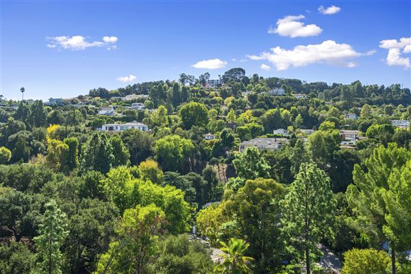 Sherman Oaks Oasis (10/20/2025 - Credits: submitted by: Andrea Bailey)