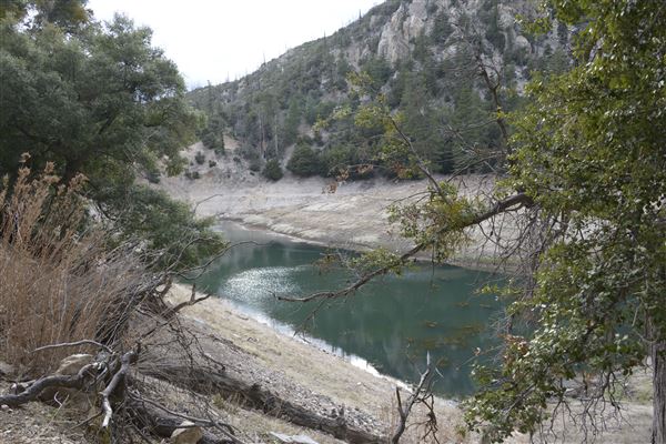 Crystal Lake Recreation Area / Campground - Angeles National Forest (1/30/2015 - Credits: Leo Fialho)