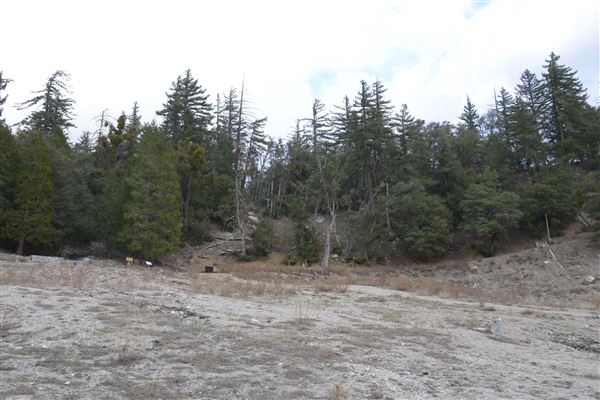 Crystal Lake Recreation Area / Campground - Angeles National Forest (1/30/2015 - Credits: Leo Fialho)