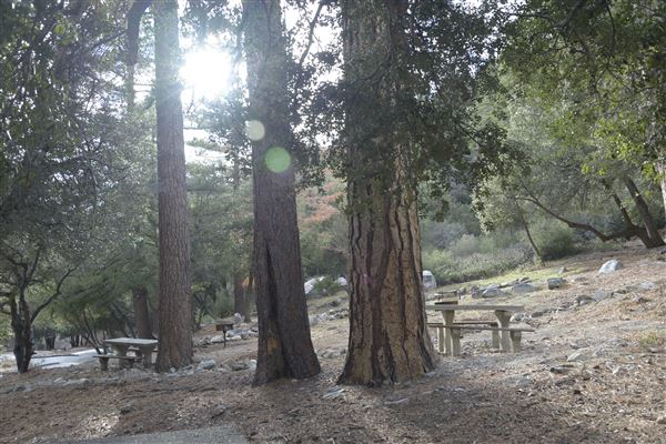 Crystal Lake Recreation Area / Campground - Angeles National Forest - Picnic Area (1/30/2015 - Credits: Leo Fialho)