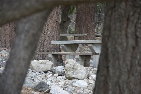 Crystal Lake Recreation Area / Campground - Angeles National Forest - Picnic Area (1/30/2015 - Credits: Leo Fialho)