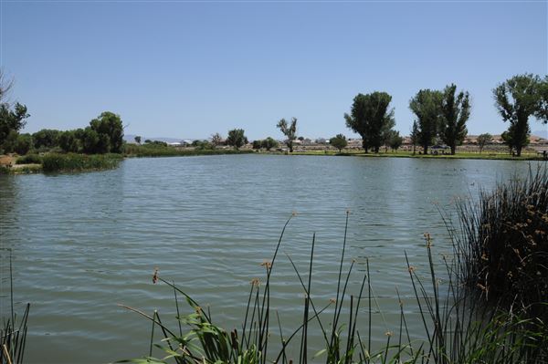 Mojave Narrows Regional Park - Pelican Lake (7/6/2012 - Credits: Leo Fialho)
