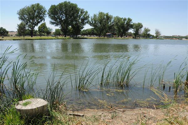 Mojave Narrows Regional Park - Pelican Lake (7/6/2012 - Credits: Leo Fialho)
