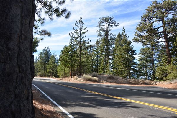 Angeles Crest Highway - SR2 - MM 61.65 (Outside TMZ) (11/16/2016 - Credits: Leo Fialho)
