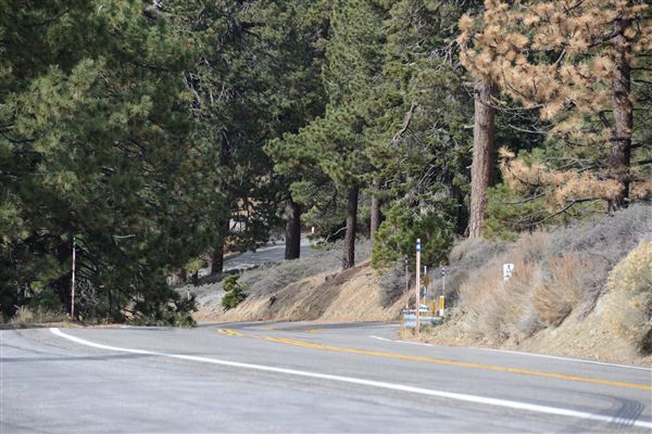 Angeles Crest Highway - SR2 - MM 77.50 (Outside TMZ) (11/16/2016 - Credits: Leo Fialho)