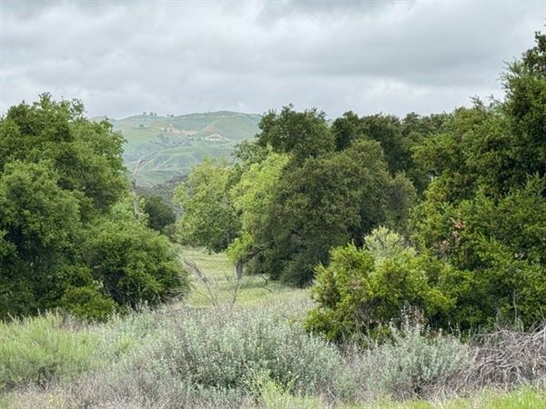 Big Sky Movie Ranch - Roads & Vistas & Forest (11/17/2025 - Credits: Owner)