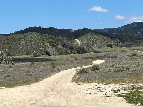 Big Sky Movie Ranch - Roads & Vistas & Forest (11/17/2025 - Credits: Owner)