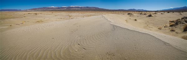Olancha Sand Dunes - Bureau of Land Management - California Desert District - Ridgecrest Field Office - BLM - Off Highway Vehicle Area - OHV (12/4/2025 - Credits: Jesse Pluim - Bureau of Land Management)