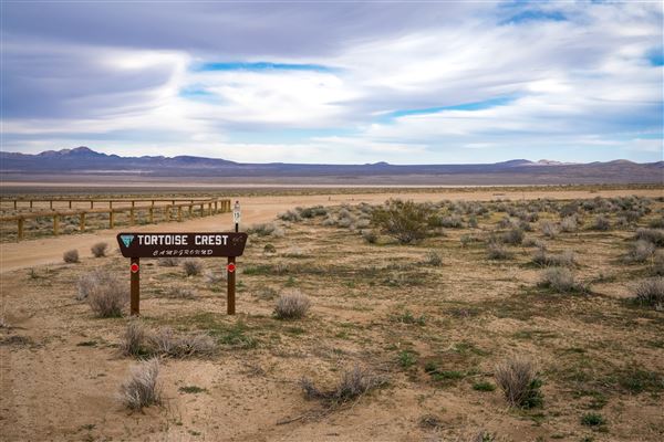 Cuddeback Dry Lake and Salt Flats - Ridgecrest BLM - Crest Tortoise Campground   (12/8/2025 - Credits: Jesse Pluim - Bureau of Land Management)