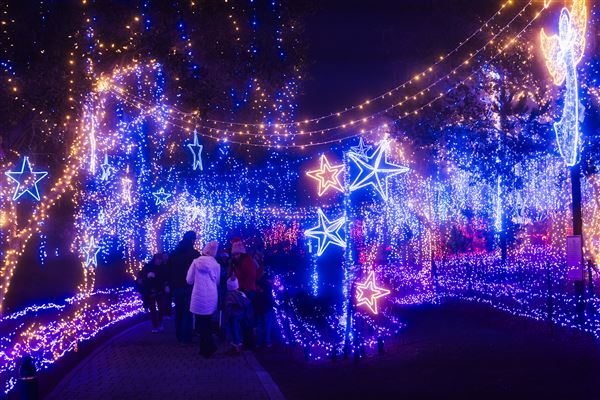 Cambria Pines Lodge & Cambria Christmas Market (12/4/2024 - Credits: Cambria Christmas Market)