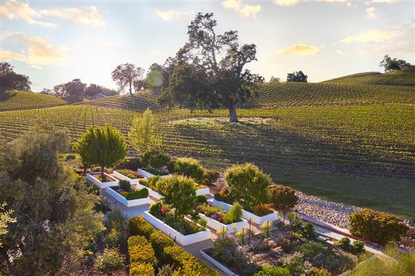 JUSTIN Vineyards & Winery (1/8/2022 - Credits: JUSTIN Vineyards & Winery)