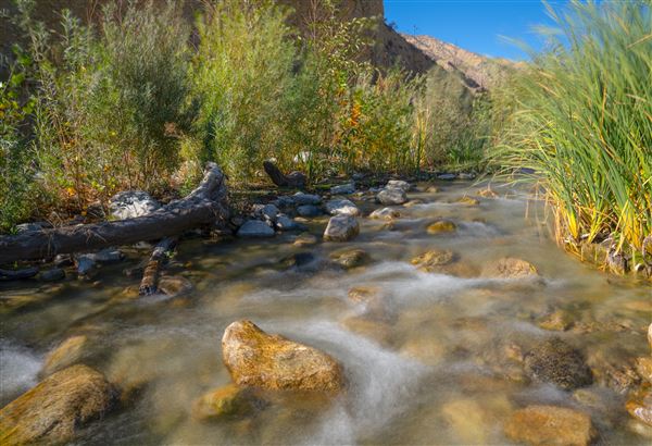 Whitewater Preserve (12/8/2025 - Credits: Jesse Pluim - Bureau of Land Management)