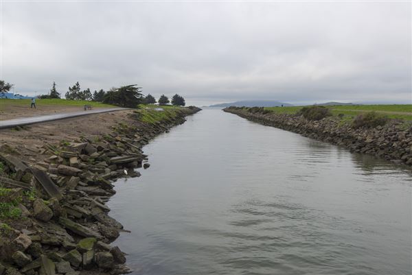 Albany State Marine Reserve - State Lands Commission (SLC) (2/2/2016 - Credits: Brian Baer)