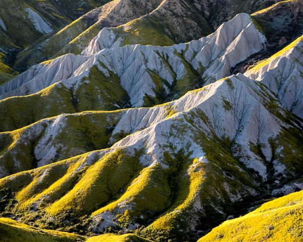 Carrizo Plain National Monument (12/11/2025 - Credits: Bob Wick - Bureau of Land Management)