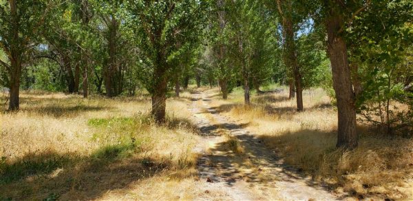 The Painted Turtle Camp - Trails (7/25/2025 - Credits: David Halver)