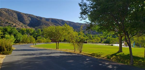 The Painted Turtle Camp - Paved Roads (7/17/2025 - Credits: David Halver)