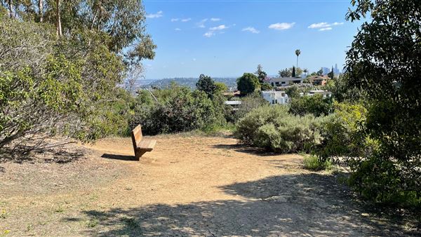 Griffith Park Redwoods - Cedar Grove - Cedar Grove Trail (3/16/2022 - Credits: Leo Fialho)