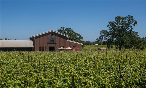 Olivet Grange Vineyard (2/3/2026 - Credits: Inman Family Wines)