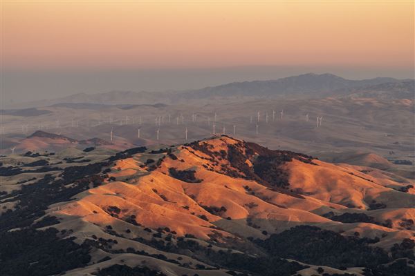 Mount Diablo State Park (SP) (10/22/2024 - Credits: Brian Baer)