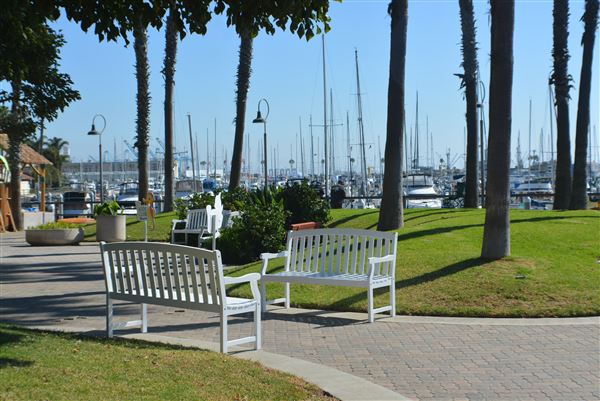 Cabrillo Marina (3/4/2026 - Credits: submitted by: Henry Rivas / 11.3.2023 Rivas)