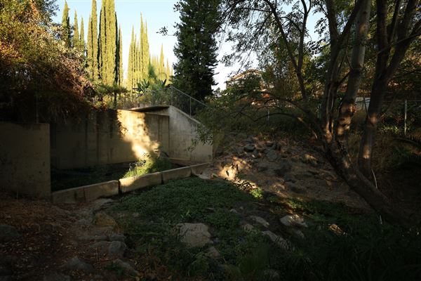 Meadowpass Road (11/12/2025 - Credits: Herman Au & Brett Kennedy)