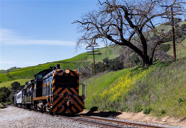 Niles Canyon Railway & Sunol Depot - A Niles Canyon Railway passenger train runs along Highway 84 just outside of Sunol past hillsides full of Spring wildflowers. (3/18/2026 - Credits: Christopher Hauf – Niles Canyon Railway)
