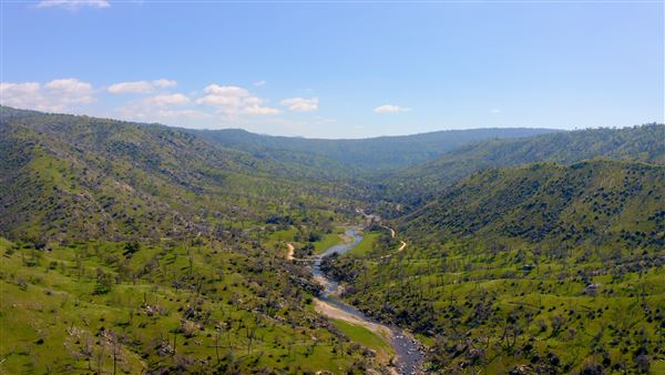 8,600 Acres in Mariposa & Madera County (3/21/2026 - Credits: Nicholas Padilla)
