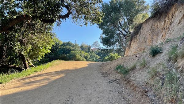 Boy Scout Trail - Griffith Park (3/6/2022 - Credits: Leo Fialho)