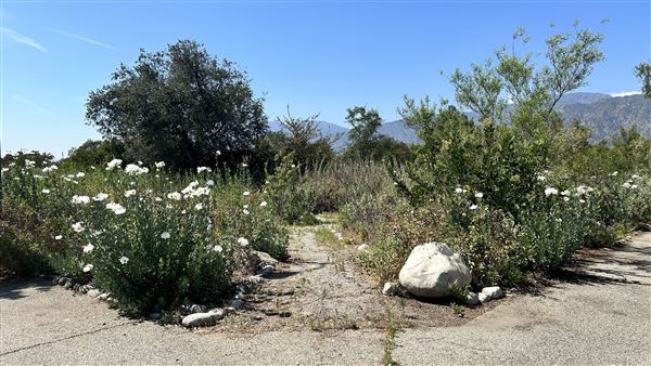 Santa Fe Dam Recreational Area - Nature Center & Emerald Bike Mobility Hub (4/23/2026 - Credits: Brandy Davis)