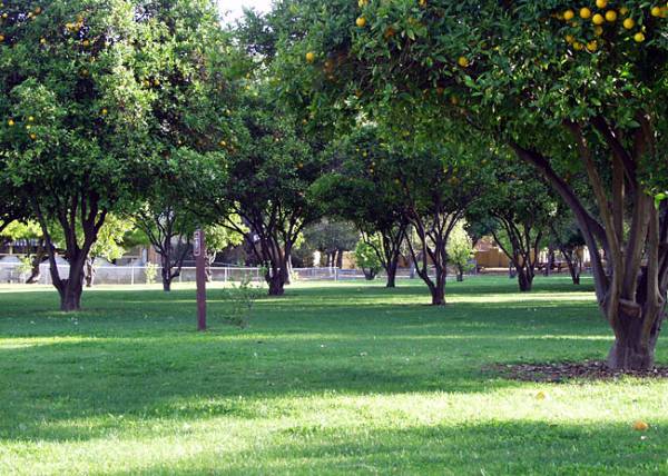 Los Encinos State Historic Park (SHP) adjacent to currently closed Lakeside Restaurant & Lounge (12/31/2003)