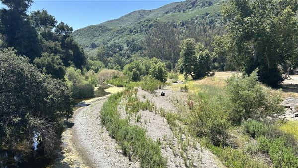 Peter Strauss Ranch - National Park Service (NPS) - View from Sheila Kuehl Bridge (5/8/2026 - Credits: Brandy Davis)