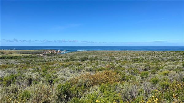 Montana de Oro State Park (SP) (4/22/2026 - Credits: Leo Fialho)