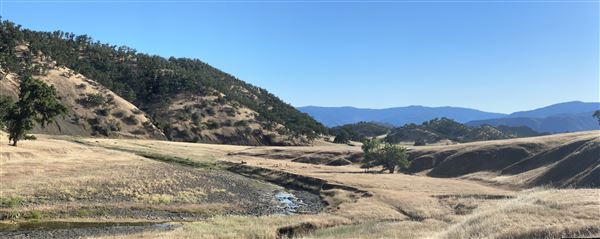 Solace Ranch & Vineyard (5/13/2026)