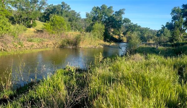 Solace Ranch & Vineyard (5/13/2026)