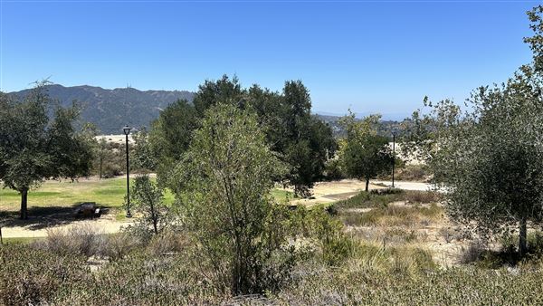 Deukmejian Wilderness Park (7/6/2026 - Credits: Brandy Davis)