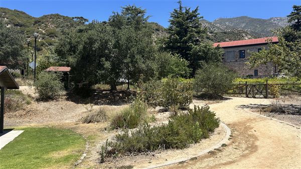Deukmejian Wilderness Park (7/6/2026 - Credits: Brandy Davis)