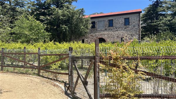 Deukmejian Wilderness Park (7/6/2026 - Credits: Brandy Davis)