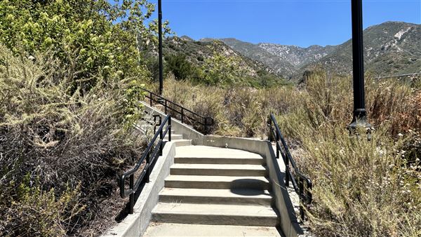 Deukmejian Wilderness Park (7/6/2026 - Credits: Brandy Davis)