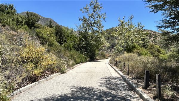 Deukmejian Wilderness Park (7/6/2026 - Credits: Brandy Davis)